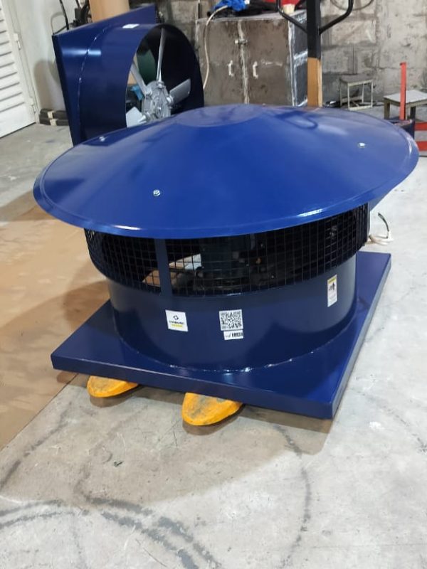 whatsapp image 2025 12 28 at 7.41.53 pm